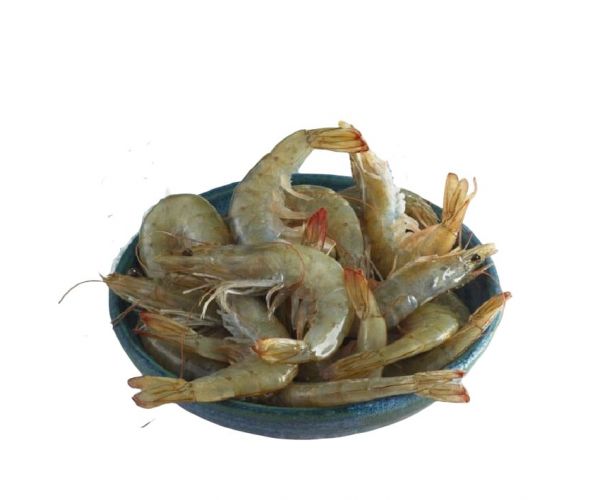 Langostino Natural