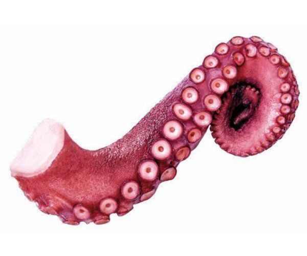 Pata de pulpo 