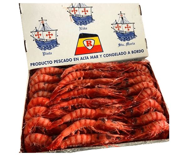 Gamba Roja Grande